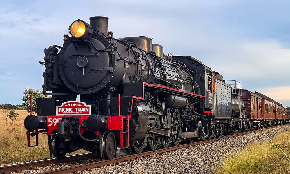 Newcastle Picnic Train