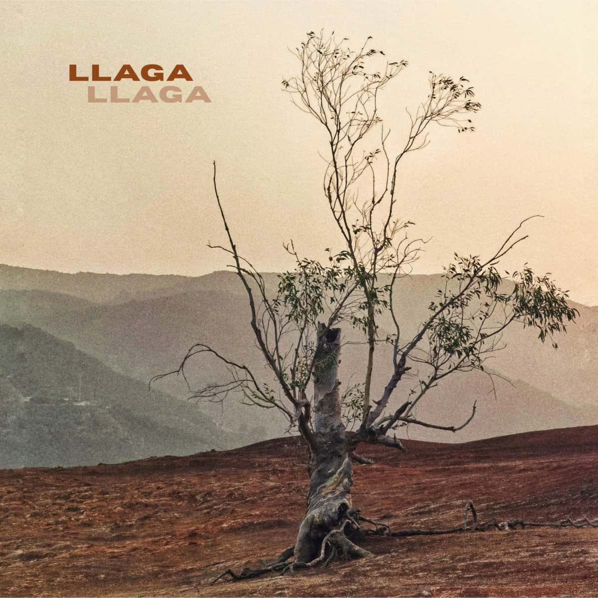 Llaga, Matutero, Calesita y Carmencore