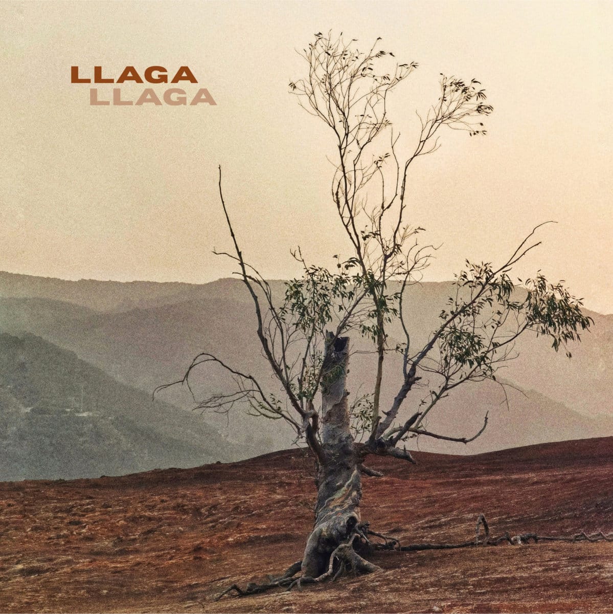 Llaga, Matutero, Calesita y Carmencore