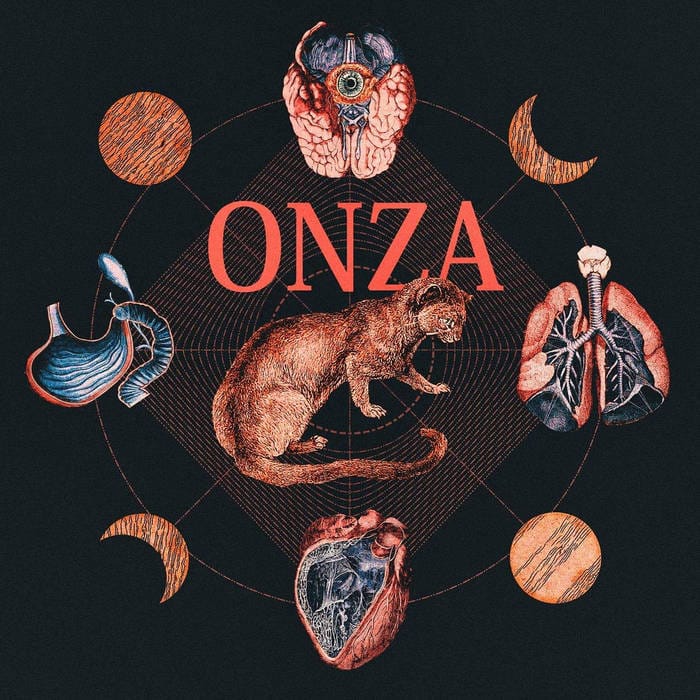 Conciertos: Onza + Captains + Drugos