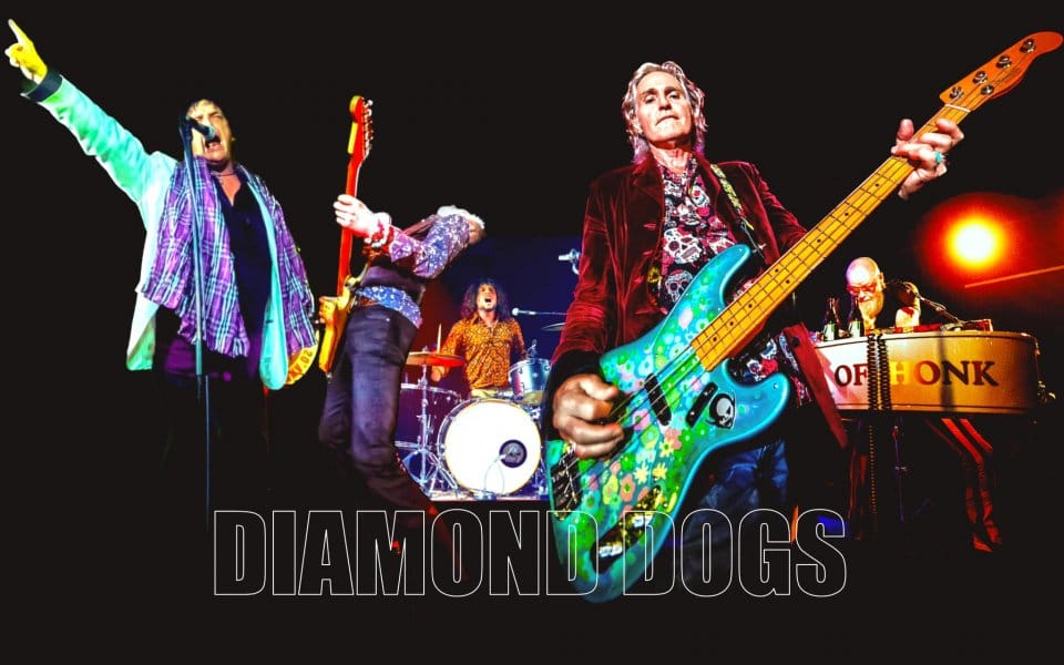 Diamond Dogs en Santiago de Compostela