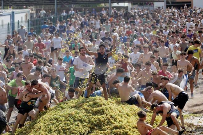 La Festa des Vermar 2026 cumple 60 años