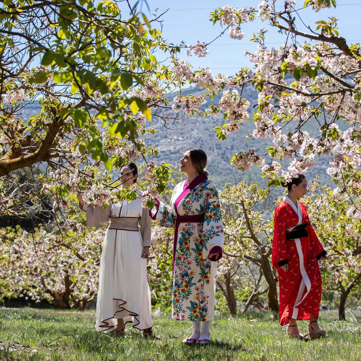 La fiesta del sakura llega a Alfarnate