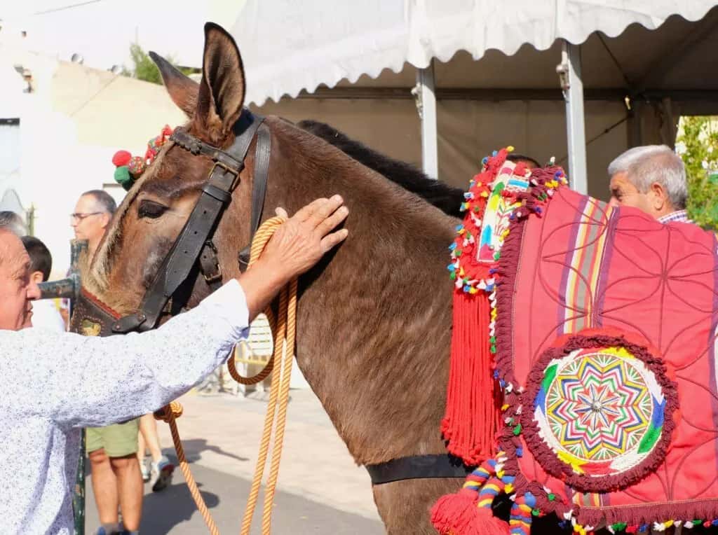 La Feria de la Mula de Arenas: del 10 al 12 de octubre