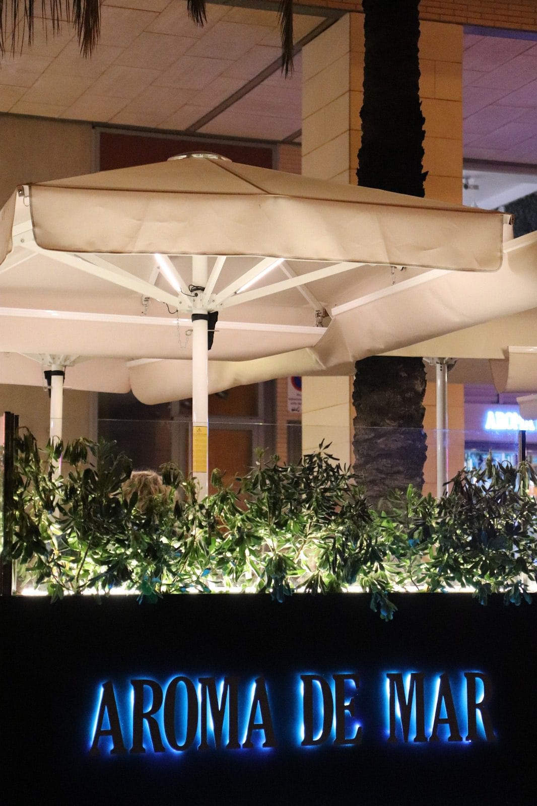 Aroma de Mar: arroces frente al mar en Badalona