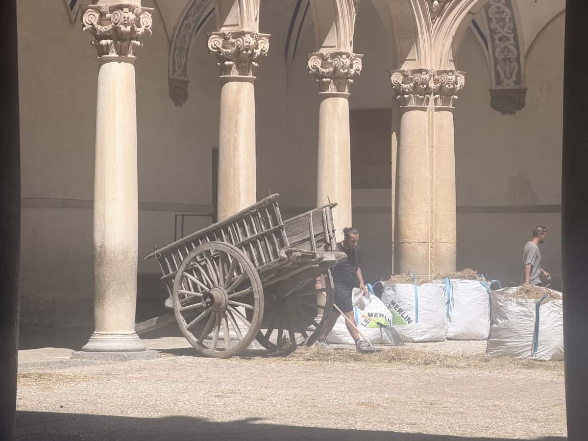 Enredados de Disney rueda en Orihuela
