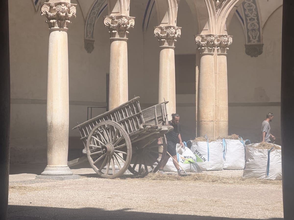 Enredados de Disney rueda en Orihuela