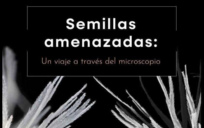 Recorrido naturalístico: Visita guiada al Jardín Botánico de Olarizu + Banco de Germoplasma + Exposición Semillas Amenazadas