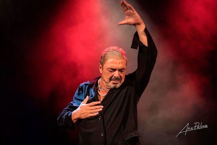 I Noche Flamenca del Compás