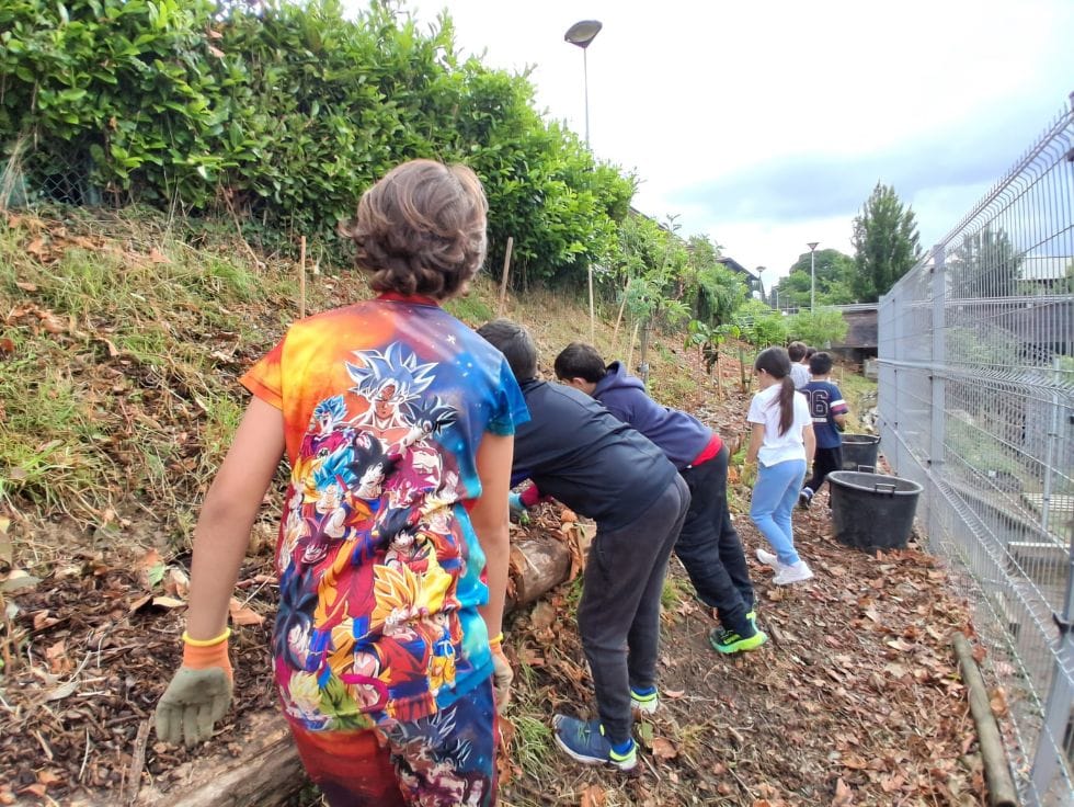 BasoJan: el bosque comestible que transforma Donostia