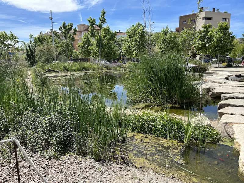 Semana del Parc Central: salud e inclusión en Igualada