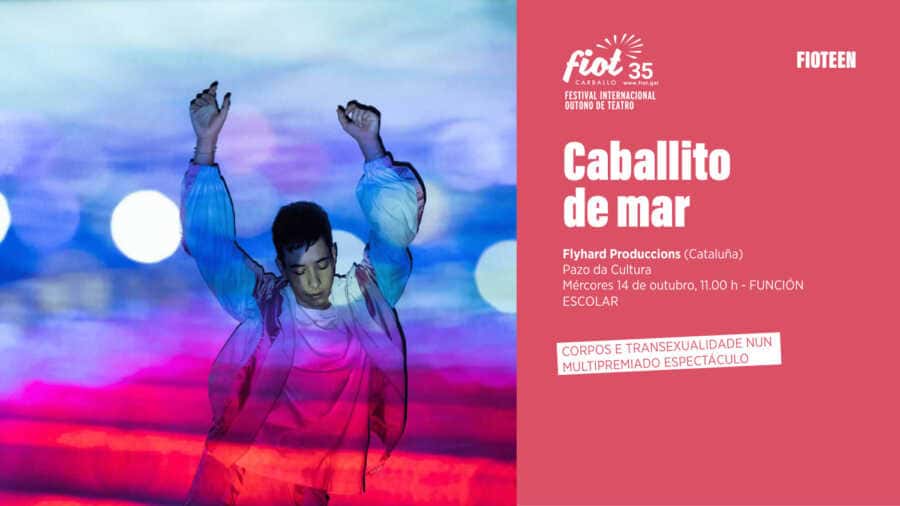 Festival Determinantes: Caballito de mar