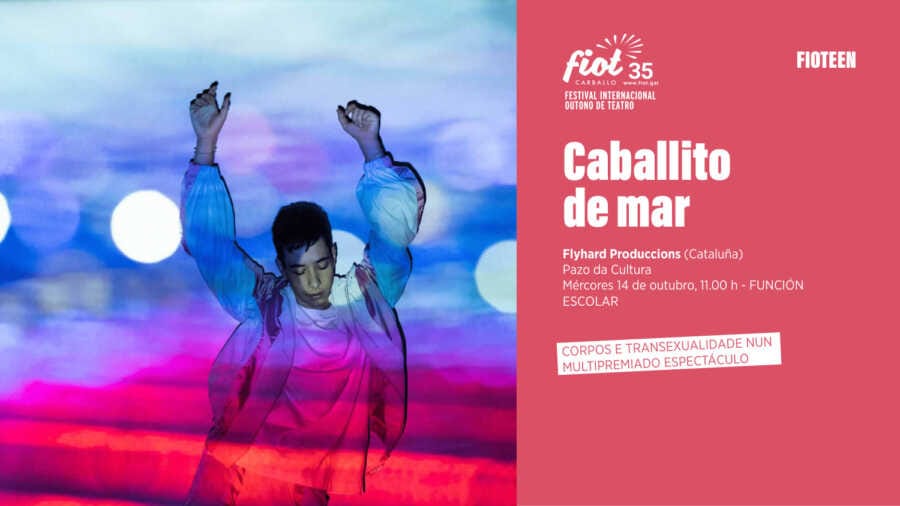 Festival Determinantes: Caballito de mar