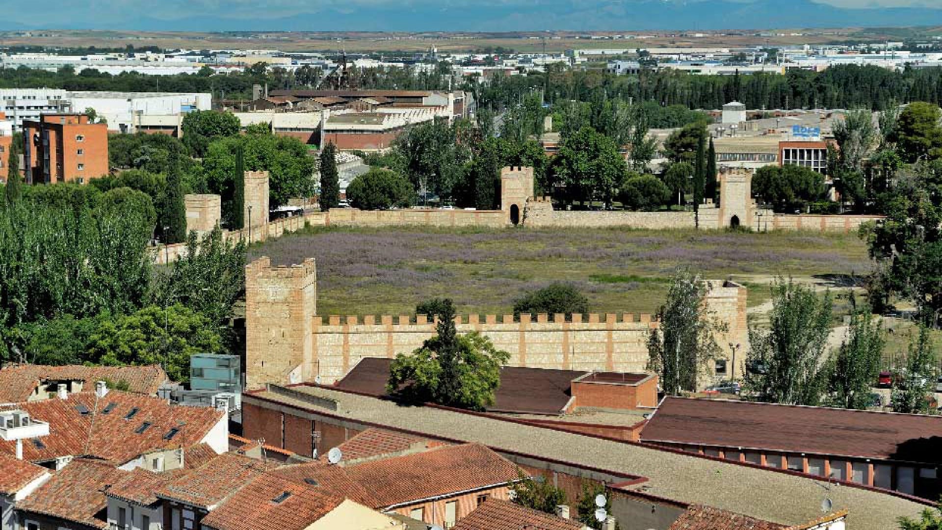 La suelta de cigüeñas: una tradición familiar de Alcalá