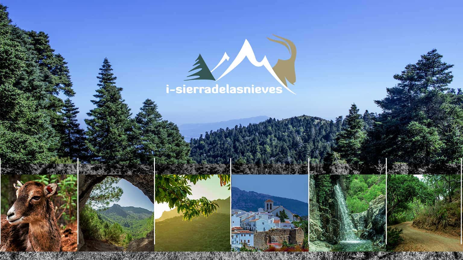 Seis rutas escolares para conocer el entorno natural