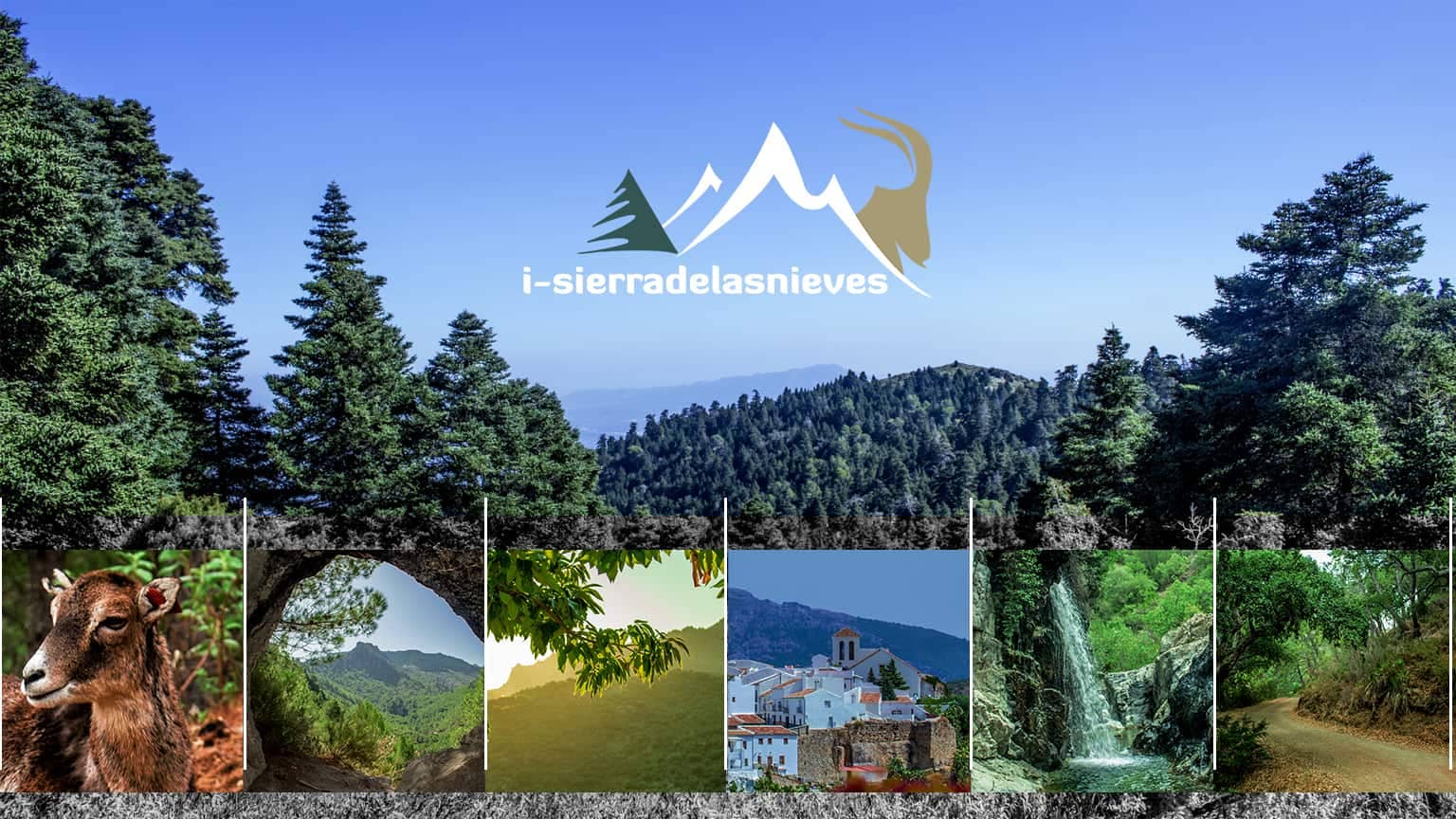 Seis rutas escolares para conocer el entorno natural