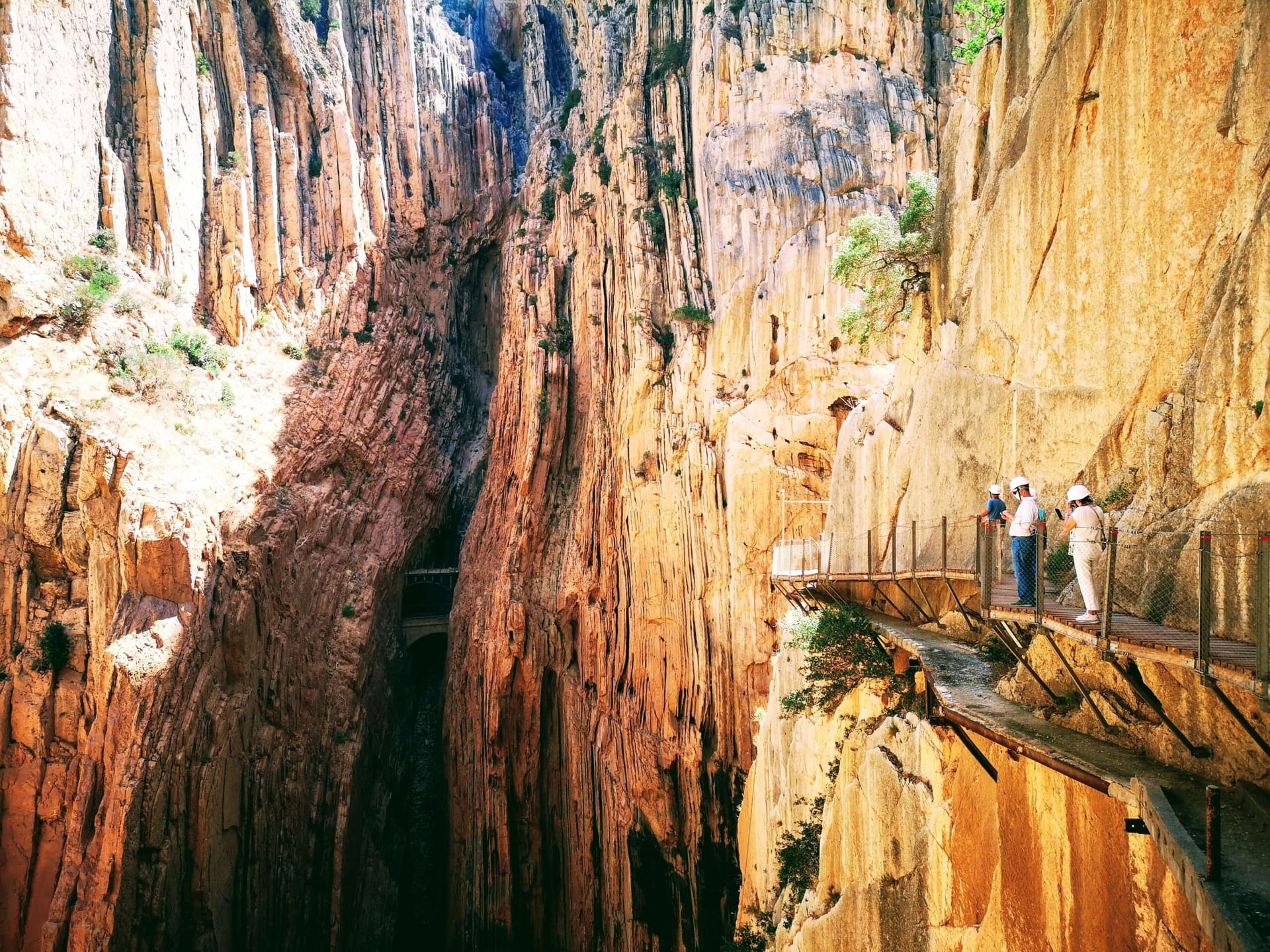 El Caminito del Rey, Premio Málaga de Arquitectura