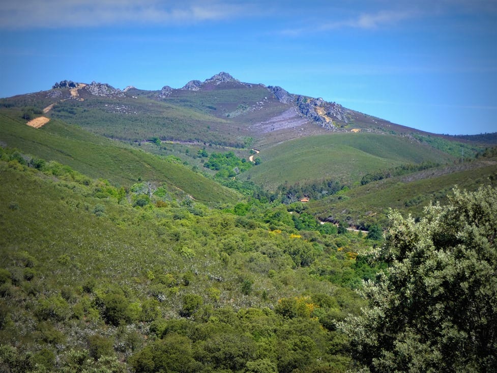 La berrea en Sanabria y Carballeda: guía otoñal