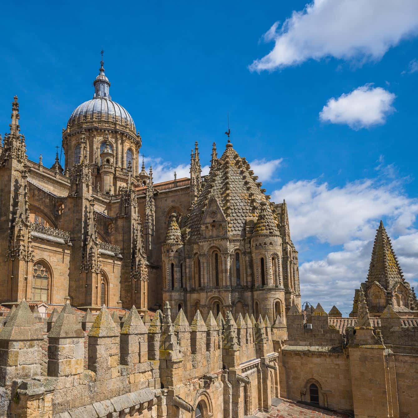 Vía Áurea: el tesoro cofrade en la Catedral