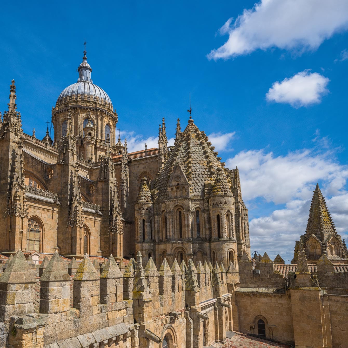 Vía Áurea: el tesoro cofrade en la Catedral