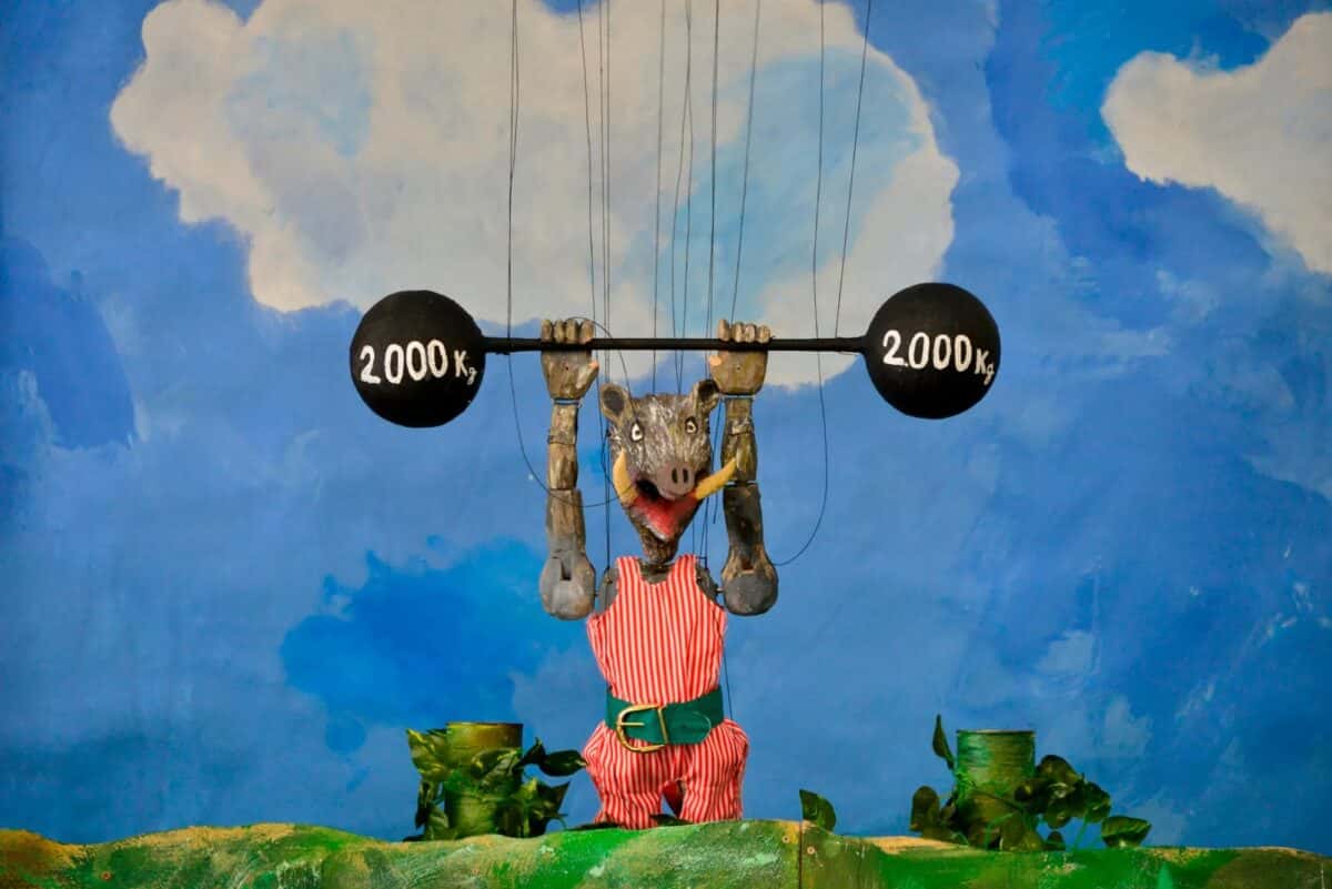 Circo Galaico