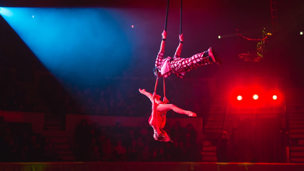 MUACA Fest: el circo que tomó las calles de Alcorcón