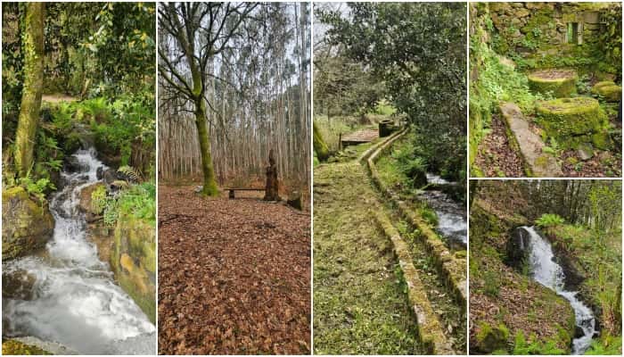 Ruta de los Muíños da Salgueira: naturaleza cerca de Vigo
