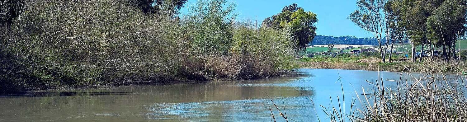 El río Guadalete vuelve a Jerez con un nuevo corredor verde