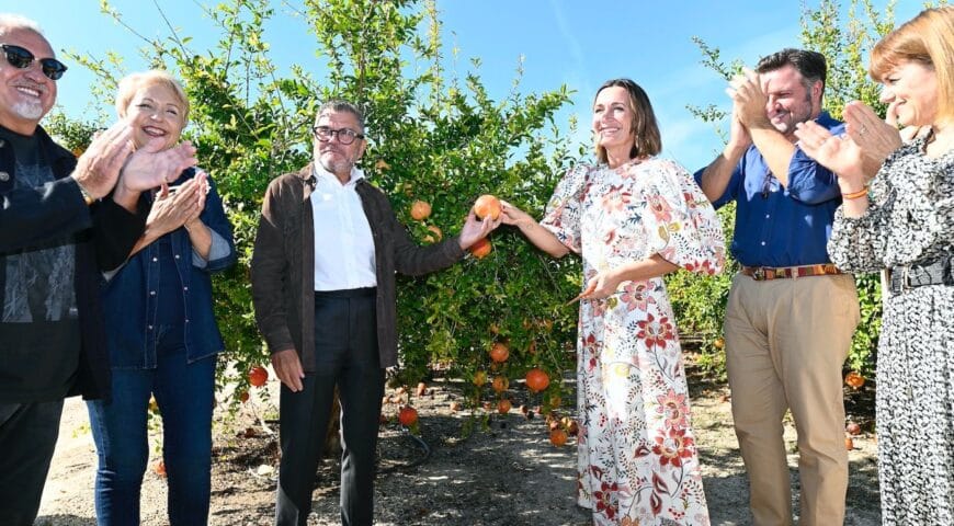 Granada mollar de Elche: la reina dulce del agosto