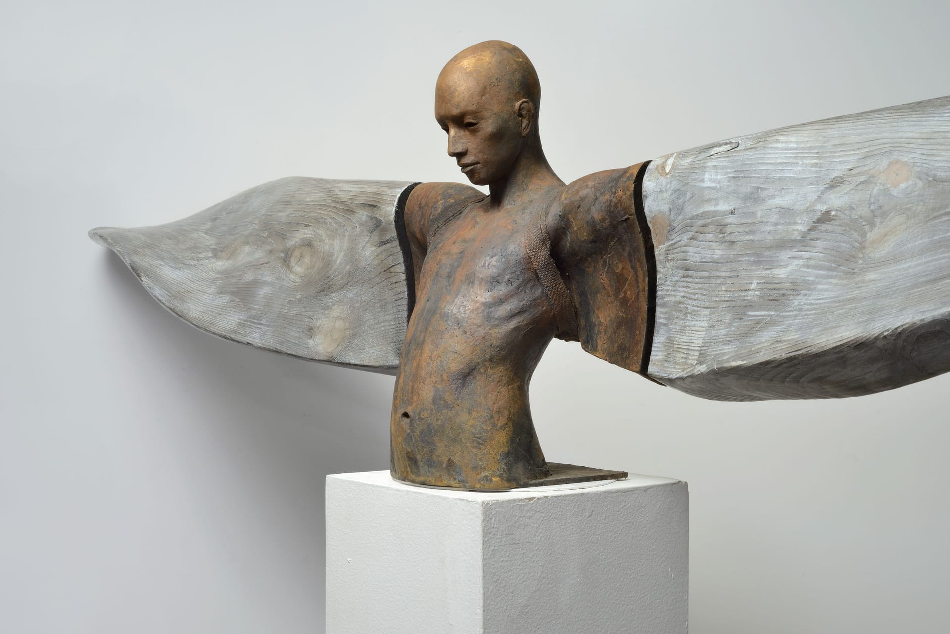 Toca madeira, alza o voo