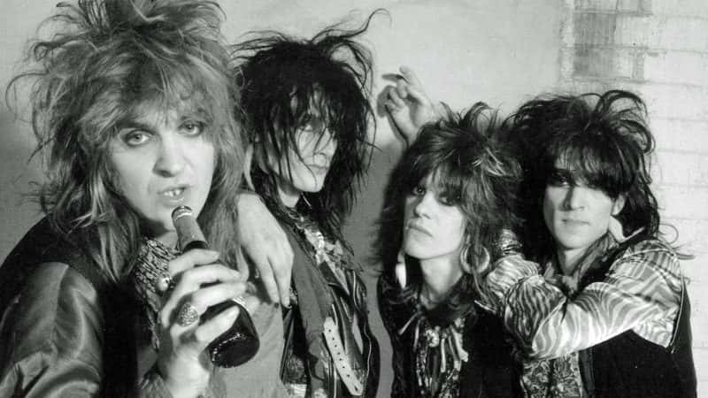 Tyla's Dogs D'Amour