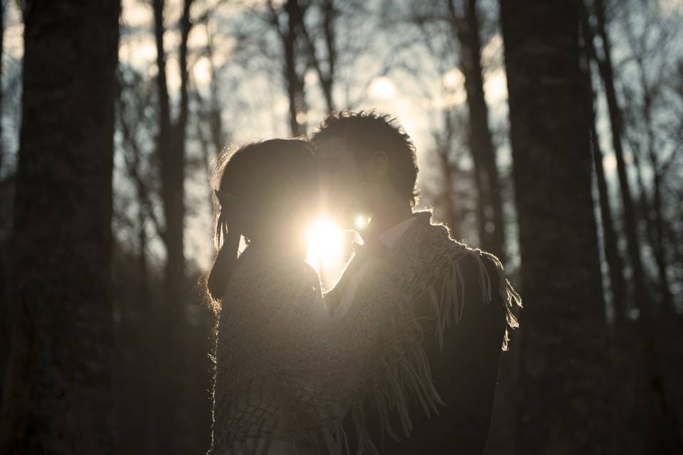 Pegasoenea, el acto poético de una casa