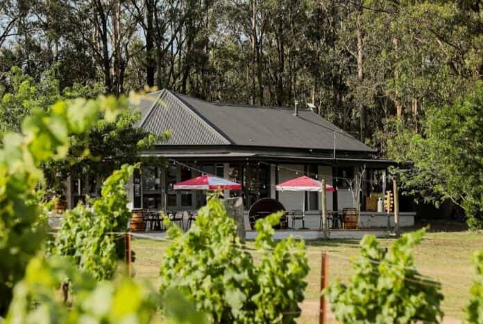D'Vine Wine and Food Festival: Hunter Valley 2026