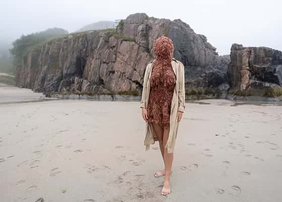 Between Land and Tide