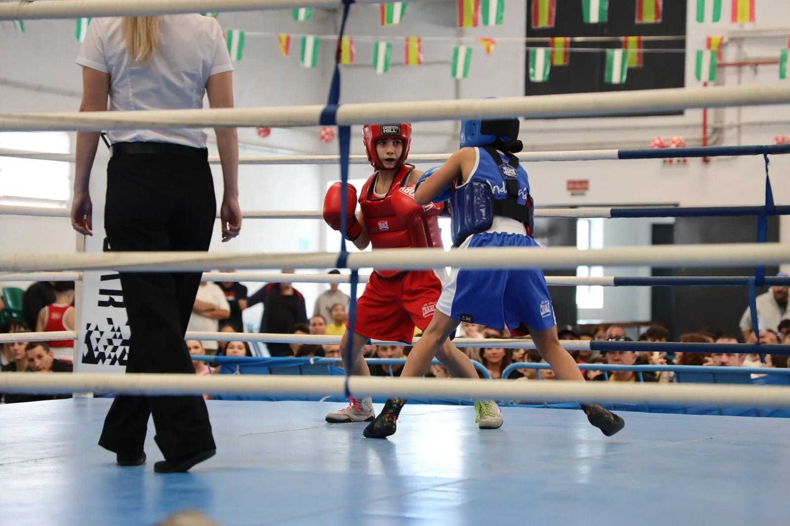 El III Open de boxeo escolar pasó por El Ejido