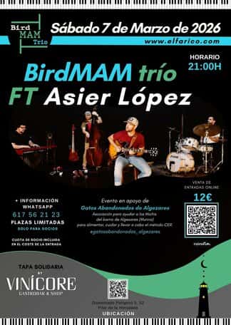 Concierto: BirdMAM Trio ft. Asier López