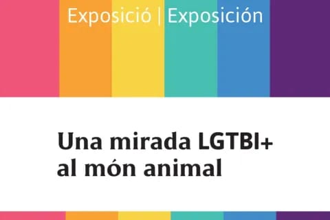 Una mirada LGTBI+ al món animal