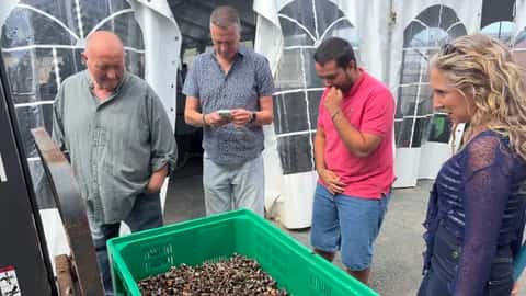 Planes de fin de semana: percebes en Cedeira y Oenach en Narón