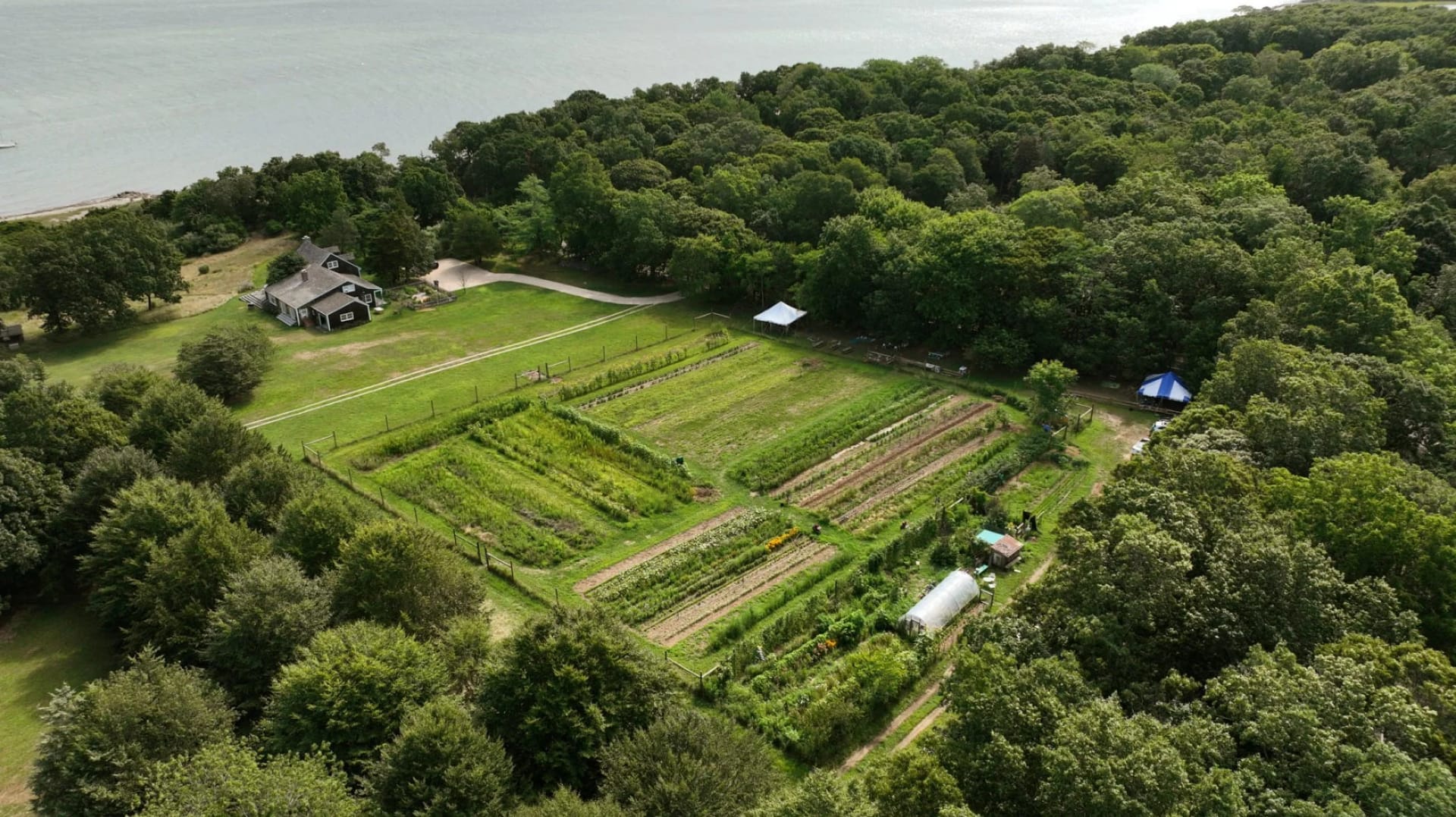 Where to See Newborn Lambs Near Brighton This Spring