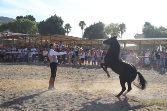 La Feria del Ganado de Cártama: tradición desde 1590