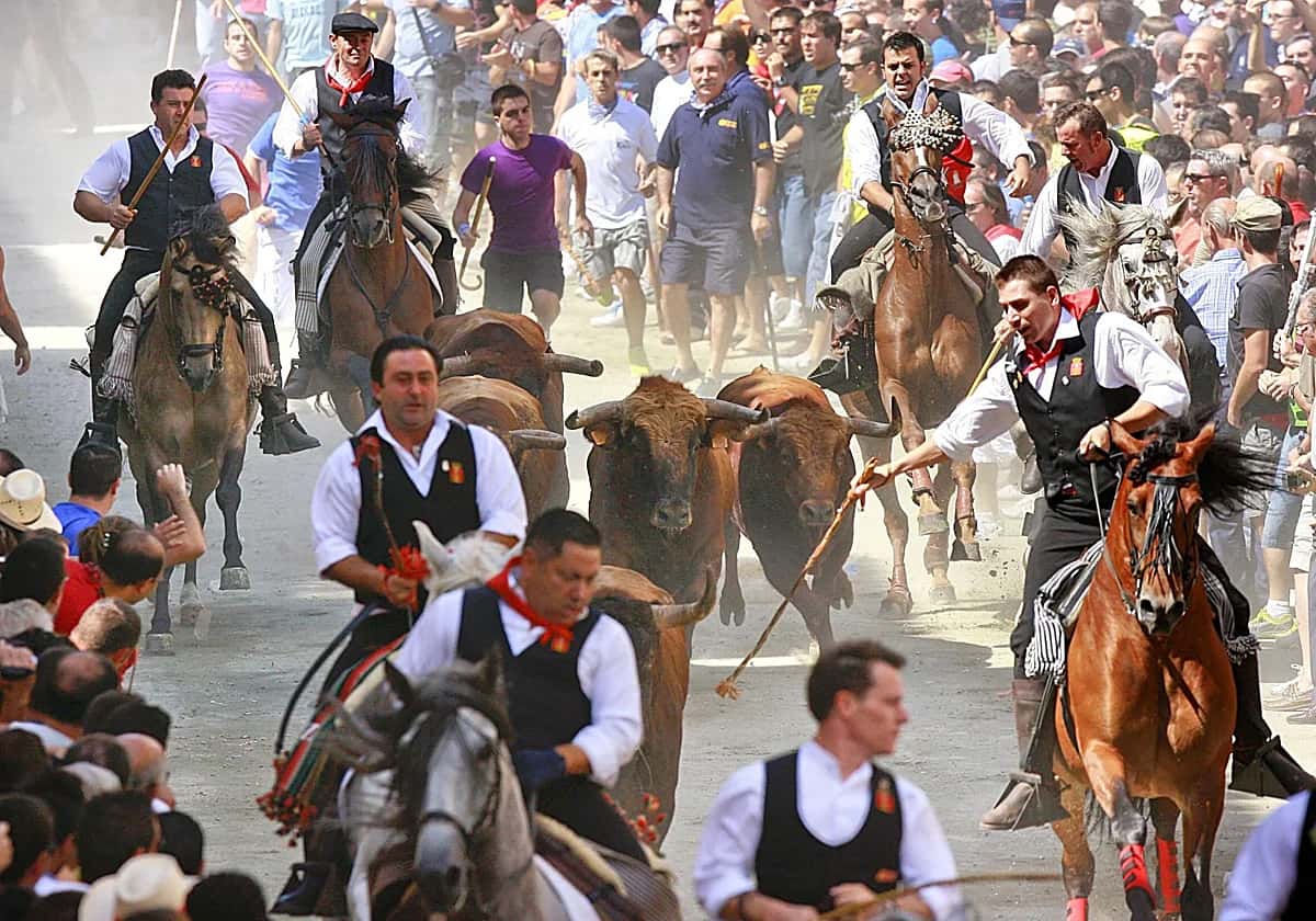 Segorbe: desfiles, correfocs y semana taurina