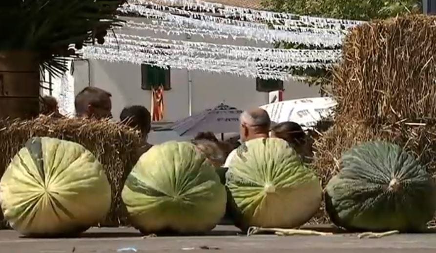 Feria del Melón y Nocturna en Vilafranca de Bonany