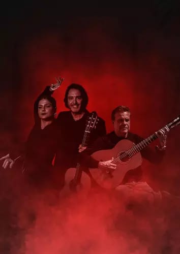 Rambleta Flamenca by Mediterranean Guitar