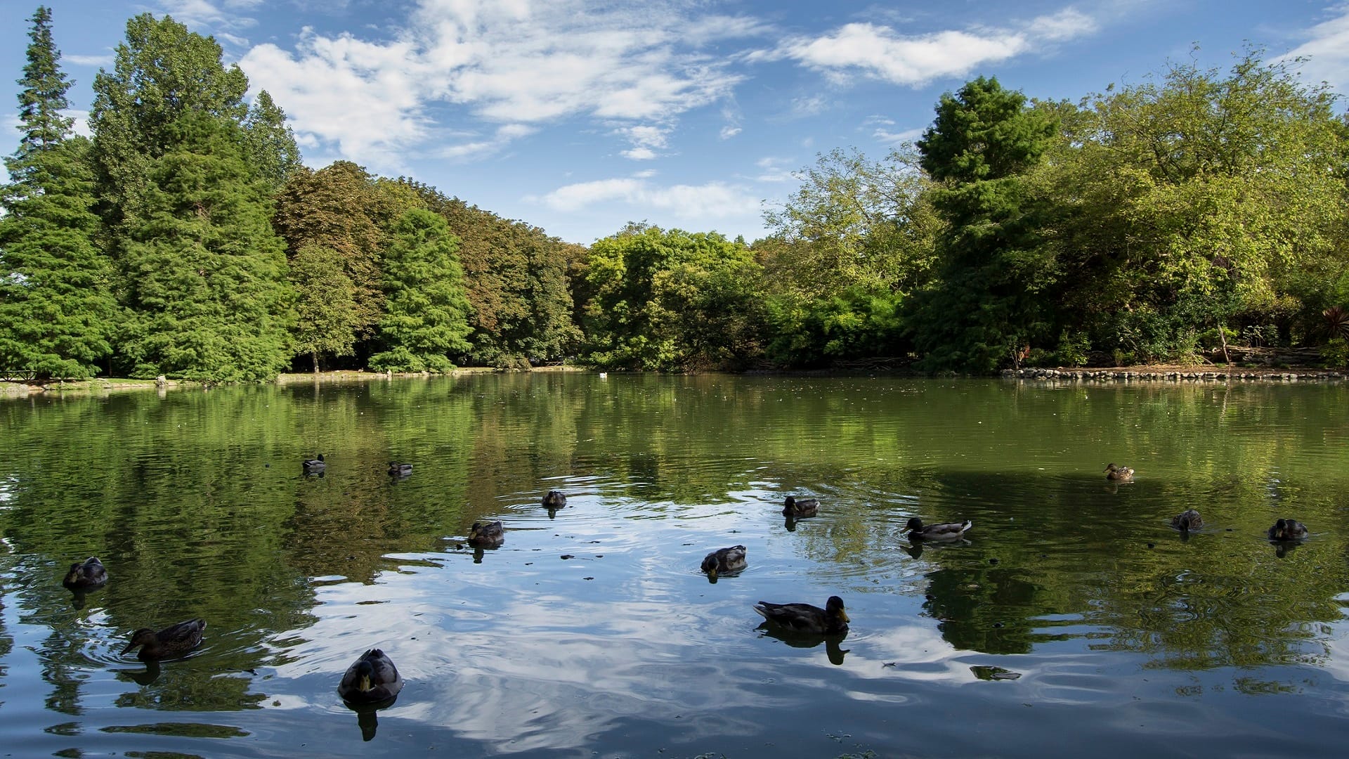 Nuevas terrazas en los parques de Gijón este verano
