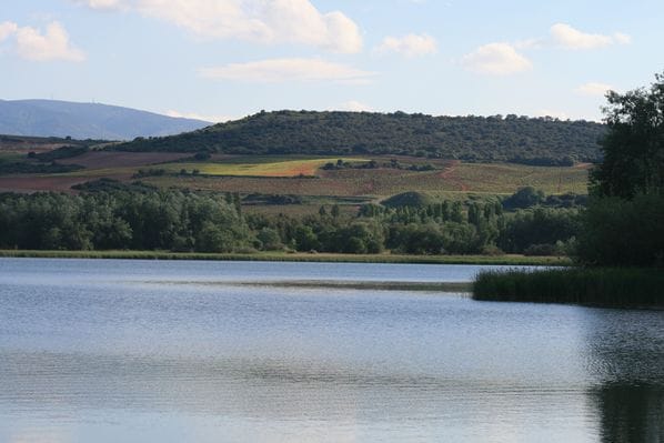La Grajera Race: deporte y naturaleza en Logroño