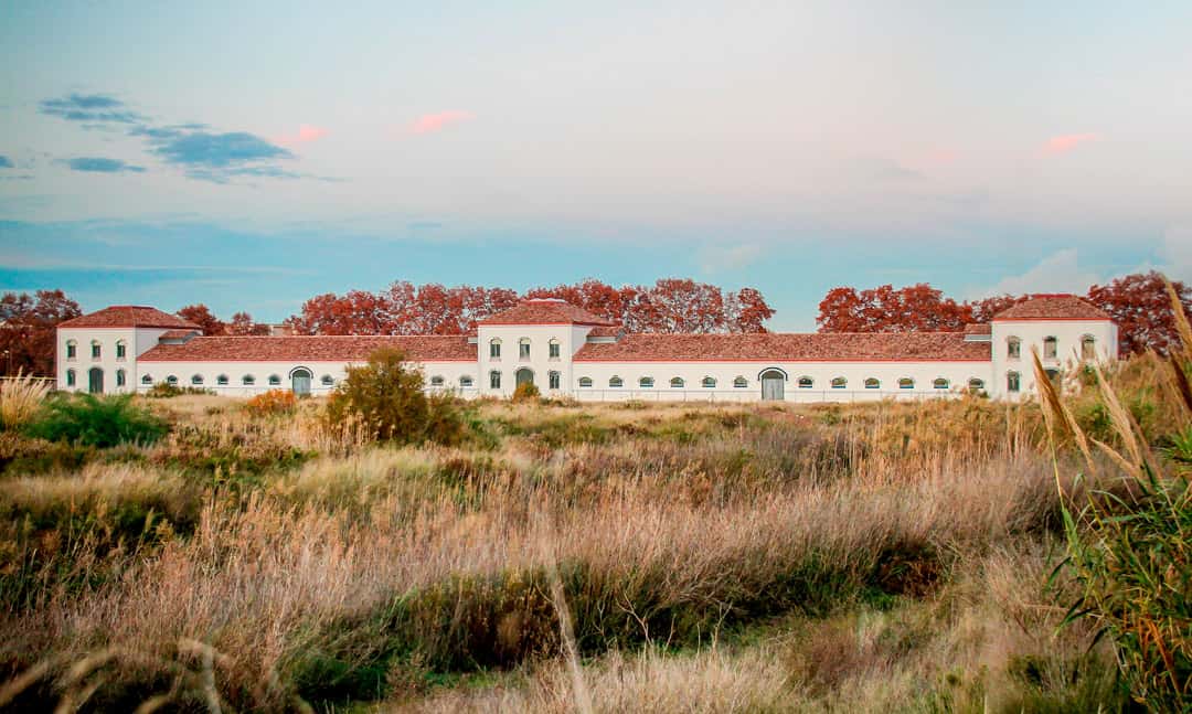 Verano cultural en la Granja de la Ricarda
