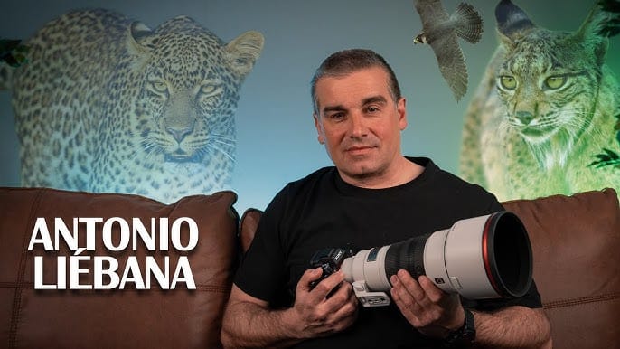 Instantes de vida salvaje