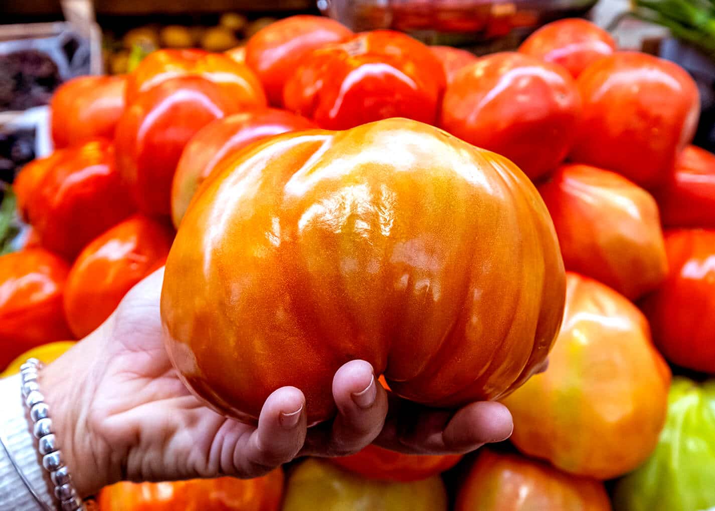 El Tomate Huevo de Toro vuelve al Guadalhorce