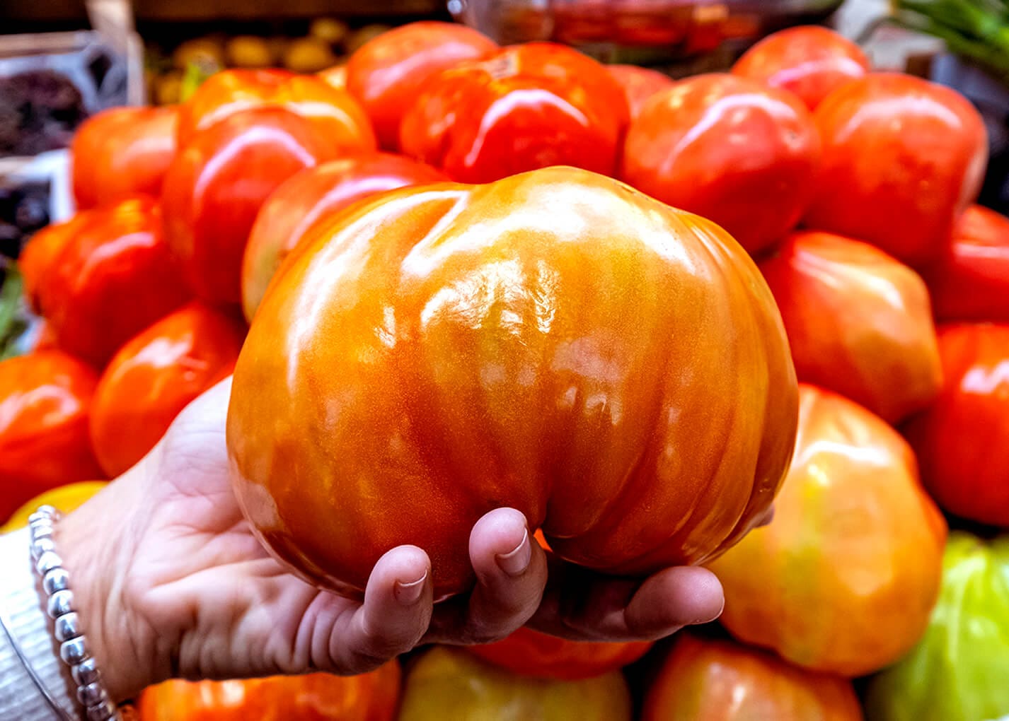 El Tomate Huevo de Toro vuelve al Guadalhorce