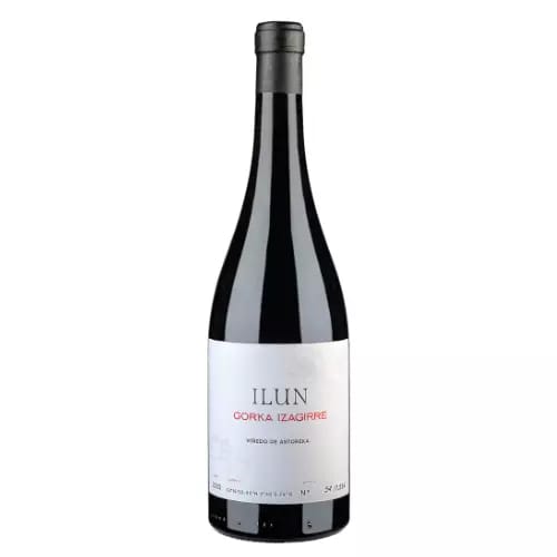 Vendimia del txakoli cerca de Irún: catas y bodegas
